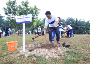 Kolaborasi Bersama PI Grup, Pupuk Kaltim Tanam Ratusan Bibit Pohon Program Community Forest