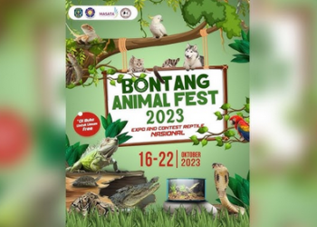 Sewa Stand Dinilai Mahal, Manajemen Event Bontang Animal Fest Yakinkan Acara Berkualitas