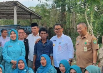 Dampingi Istri Tito, Akmal Malik Buka Peluang Buaya Riska Hidup Kembali ke Habitatnya