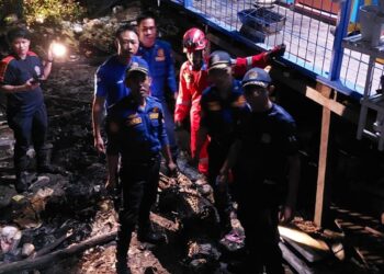Masuk Ke Kolong Rumah Warga, Buaya Muara di Loktuan Dievakuasi Disdamkartan