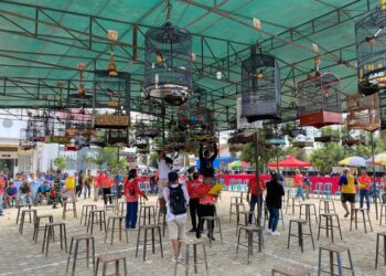 Buka Lomba Kicau Burung Bupati Cup, Ardiansyah Harap Bisa jadi Ekosistem Ekonomi Masyarakat