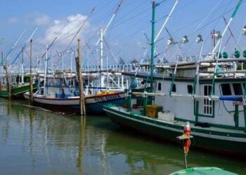 Samboja, Kecamatan Kaya akan Perikanan di Kukar