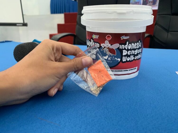 DPRD Bontang Jadwalkan Panggil Diskes Buntut Isu Penolakan Nyamuk Wolbachia di Bali