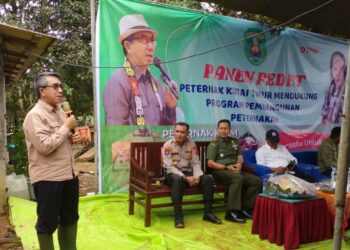 Kunjungi Desa Manunggal Jaya, Bupati Ardiansyah Ajak Tingkatkan Produksi Peternakan Sapi