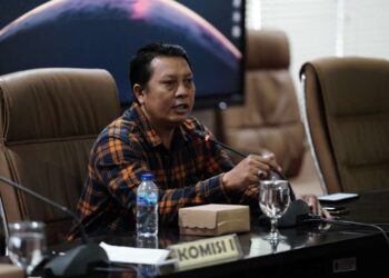 Muhammad Irfan Beberkan Dua Alasan Menolak Buaya Dikembalikan ke Bontang