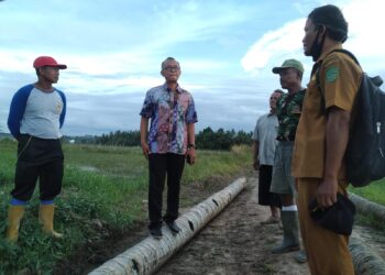 Petani Lokal Dinilai Akan Mengalami Daya Saing Tinggi Setelah Pemindahan IKN ke Kaltim
