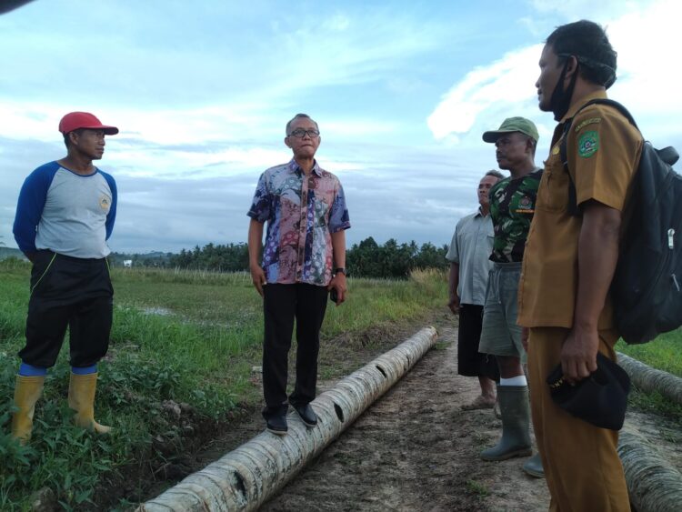 Petani Lokal Dinilai Akan Mengalami Daya Saing Tinggi Setelah Pemindahan IKN ke Kaltim