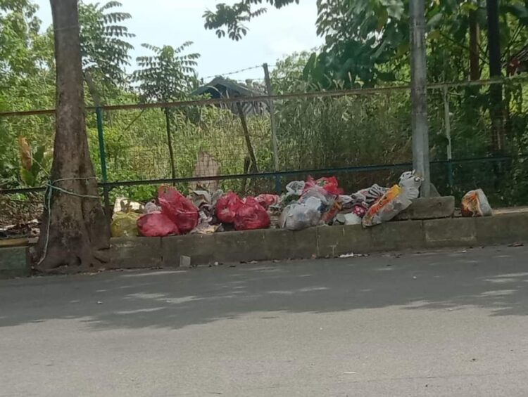 Laporkan Pelaku Buang Sampah Sembarangan, DLH: Sertakan Foto atau Video