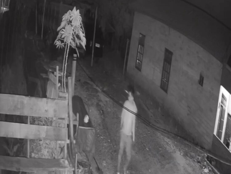 Cerita Warga KM 7 Bontang, Bensin Mobil Kering Cek CCTv Ternyata Disedot Maling