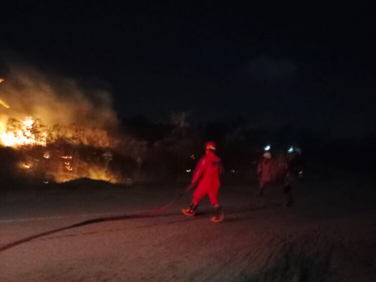 Usai Tarawih, Api Membakar Lahan di Bontang Lestari, Damkar Gerak Cepat