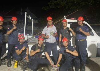 Bikin Geger Warga Selambai, Buaya Masuk Kolong Rumah Sulitkan Damkar Evakuasi