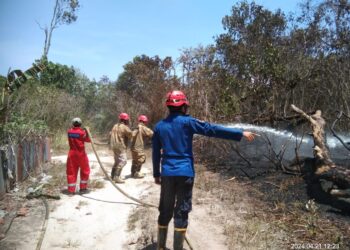 Kebakaran Lahan di Sempayang Nyaris Merembet ke Pemukiman, Damkar Temukan Bekas Rintisan