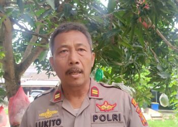 Terduga Pelaku Pengeroyokan di Kafe Saleba Diamankan, Mayoritas Pelajar SMK