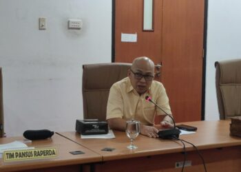 Masa Kerja Hanya 3 Bulan, Progres Pansus Pemekaran Kelurahan Tak Tuntas 