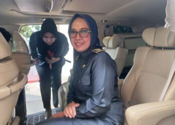 Batal Gelar Deklarasi, 29 Agustus Najirah Aswar Akan Kerahkan Masa Saat Daftar ke KPU