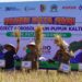 Pupuk Kaltim Sukses Tingkatkan Produktivitas Padi di Jember Melalui Program Agrosolution