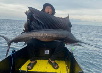 Viral di Bontang, Pemancing Ini ‘Strike’ Dapat Ikan Marlin Hitam 32 Kg