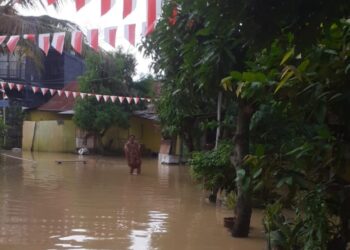 Update 5 November: Ada 15 RT di Kelurahan Api-Api Terdampak Banjir