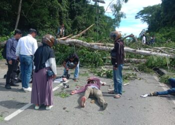 Pohon Tumbang di Jalan Tembus, Sejumlah Pengendara Dilarikan ke Rumah Sakit