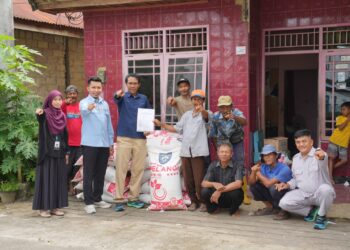 Kembangkan Komoditas Lokal, Pupuk Kaltim Beri Dukungan Agri Input Bagi Petani Cabai Guntung
