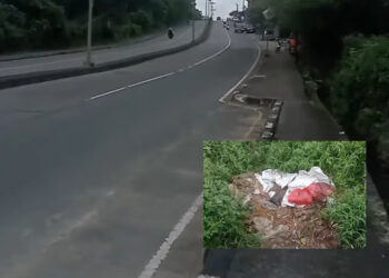 Heboh Bau Menyengat di Jalan Tembus, Ternyata Ada yang Buang Jeroan