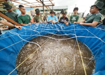 Optimalkan Sektor Budidaya Perikanan, Pupuk Kaltim Kenalkan Sistem Bioflok ke Nelayan Bontang