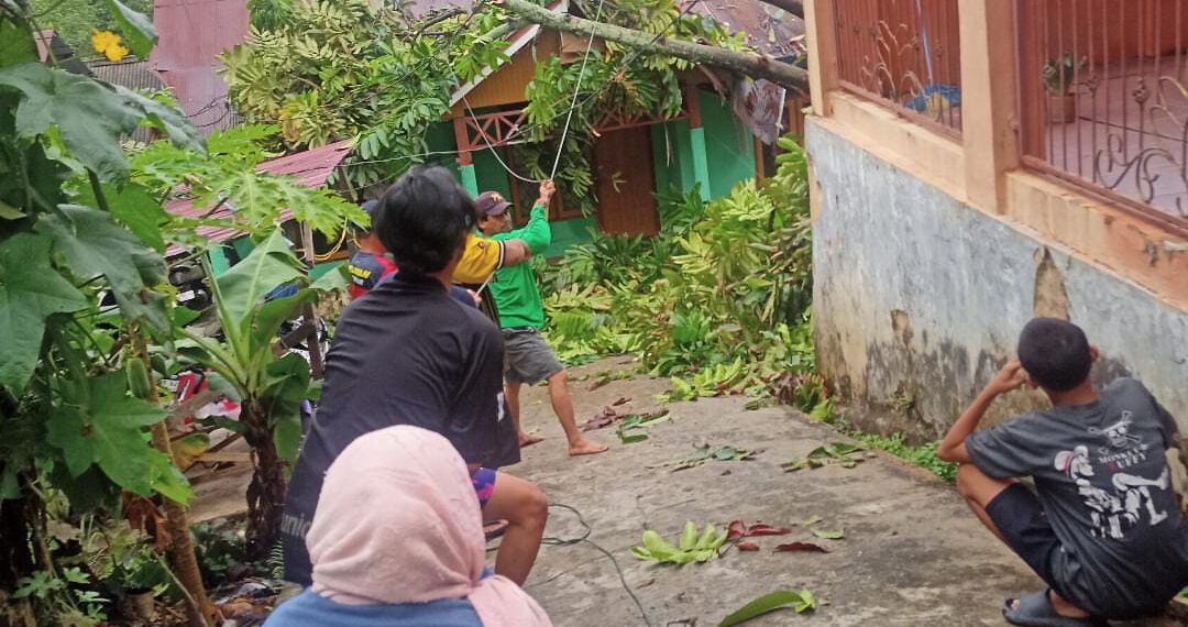 Pohon Matoa Tumbang di Berbas Tengah, Atap Rumah Warga Jalan Zamrud Rusak
