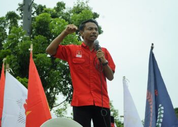 LMND Dukung Pengambilalihan Izin 22 Perusahaan PBPH ke BUMN Perhutani