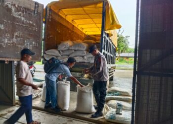 Pasca Panen Raya, Jagung Pipil Muara Wahau Dibeli Bulog Samarinda Rp27,6 Juta