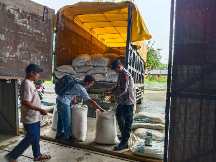 Pasca Panen Raya, Jagung Pipil Muara Wahau Dibeli Bulog Samarinda Rp27,6 Juta
