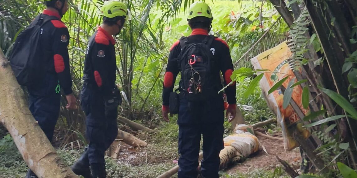 Jangan Bertindak Sendiri, Damkar Minta Warga Lapor Kemunculan Buaya ke Tim Terlatih
