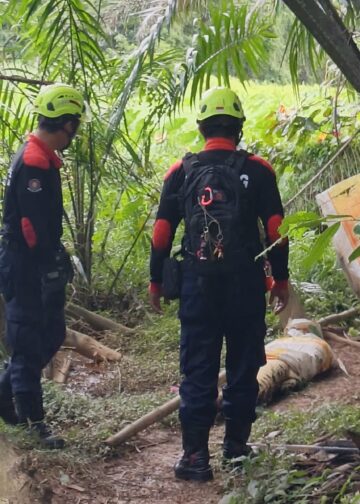 Jangan Bertindak Sendiri, Damkar Minta Warga Lapor Kemunculan Buaya ke Tim Terlatih