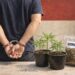 Nekat Tanam Ganja dalam Pot, Pria 34 Tahun di Bontang Ditangkap Polisi