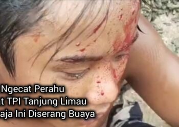 Lagi Ngecat Kapal Dekat TPI Tanjung Limau, Remaja Ini Diserang Buaya