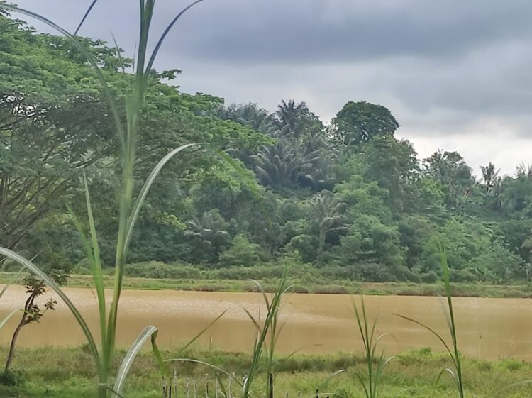 Revitalisasi Danau Kanaan Ditunda, Pemkot Berharap Bantuan Pemprov untuk Pengerukan