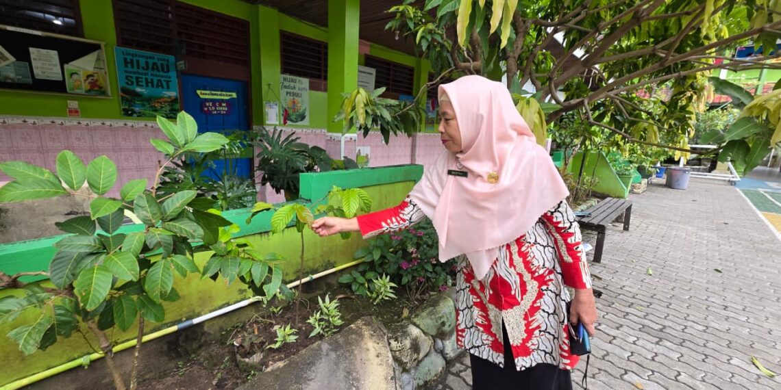 Siapkan 700 Tanaman, SDN 008 Bontang Utara Optimis Pertahankan Adiwiyata Mandiri