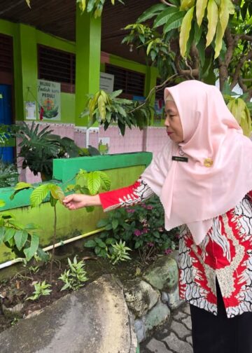 Siapkan 700 Tanaman, SDN 008 Bontang Utara Optimis Pertahankan Adiwiyata Mandiri