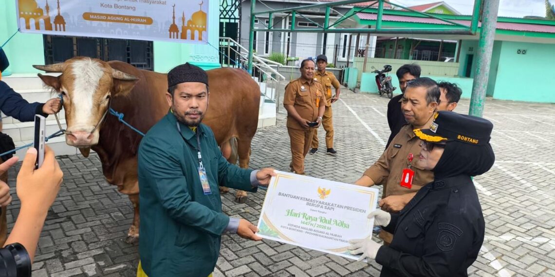Wali Kota Apresiasi Bantuan Sapi Kurban Presiden untuk Warga Bontang