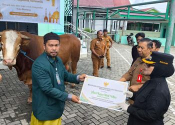 Wali Kota Apresiasi Bantuan Sapi Kurban Presiden untuk Warga Bontang