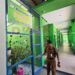 SDN 003 Bontang Utara Fokus Pertahankan Adiwiyata Mandiri, Kembangkan Greenhouse