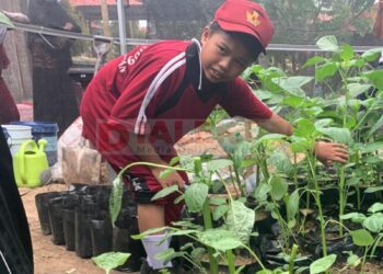 Keren! SDN 009 Bontang Selatan Kembangkan Eco Enzyme dari Limbah Organik