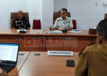 Anggaran Kesehatan Melonjak, Dewan Dorong Keterlibatan Perusahaan Lewat TJSL