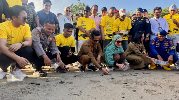 Lepas 80 Tukik, Rahmad Mas’ud Apresiasi Kepedulian JMSI Balikpapan