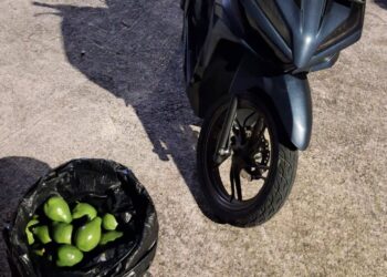 Perkara Alpukat, Jam 3 Subuh Beraksi di BTN PKT, Kabur Motor Pelaku Ditinggal