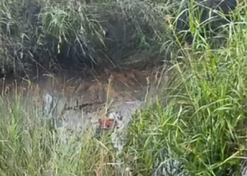 Royyan Bocah yang Viral Hilang di Sangatta Utara Ditemukan Tewas di Bukit Pelangi