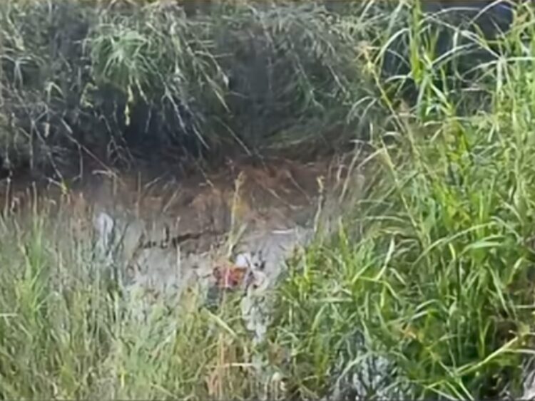 Royyan Bocah yang Viral Hilang di Sangatta Utara Ditemukan Tewas di Bukit Pelangi