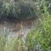 Royyan Bocah yang Viral Hilang di Sangatta Utara Ditemukan Tewas di Bukit Pelangi