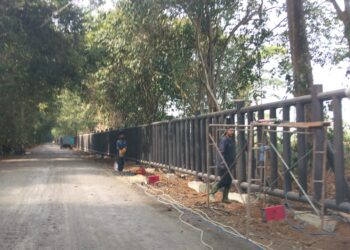 WALHI Nilai Pembangunan Pagar Taman Nasional Way Kambas Pemborosan