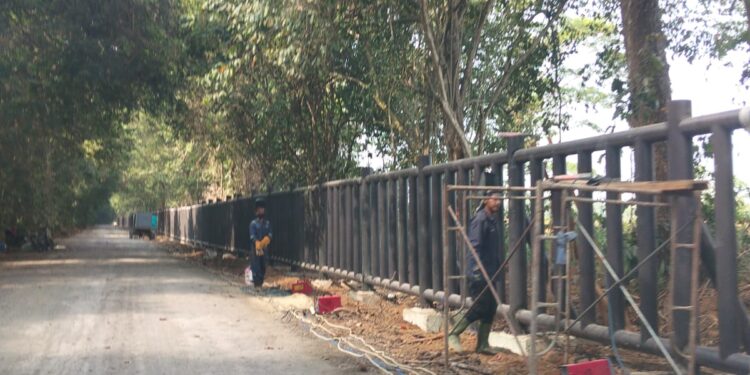 WALHI Nilai Pembangunan Pagar Taman Nasional Way Kambas  Pemborosan