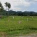 Cegah Alih Fungsi, BPN Larang Sertifikasi 753 Hektare Sawah Parepare Jadi Hunian